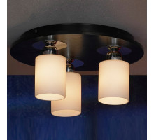 Накладной светильник Lussole Caprile 