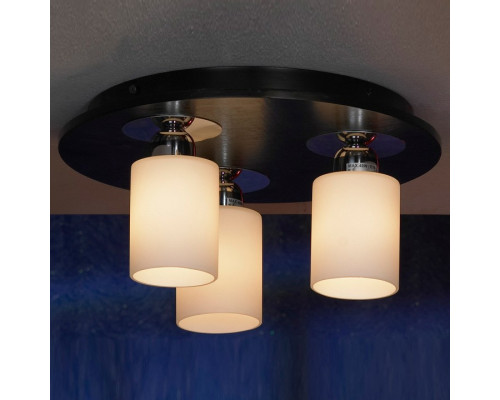 Накладной светильник Lussole Caprile