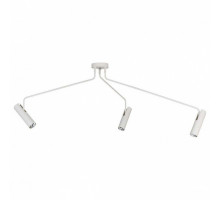 Потолочная люстра Nowodvorski Eye Super White 6491