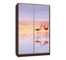 Шкаф-купе Гранд 7-600 19