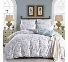 Постельное белье евростандарт Далила