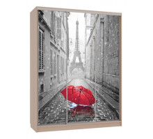 Шкаф-купе Бассо 7-600 08