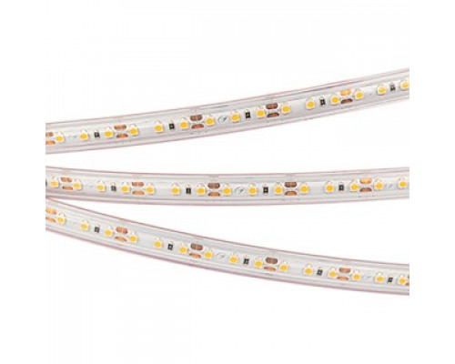 Лента светодиодная [5 м] Arlight  022319(2)