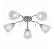 Потолочная люстра Vitaluce V3184 V3819-9/5PL