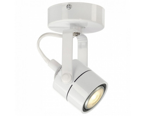 Спот SLV Spot 79 132021