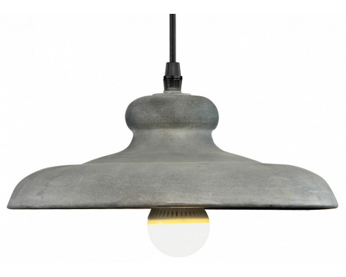 Подвесной светильник Arte Lamp Loft A5025SP-1BG