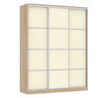 Шкаф-купе Бассо 2-600