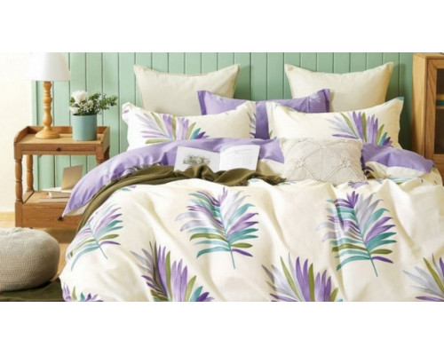 Постельное белье евростандарт С-444