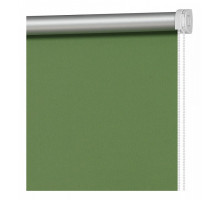 Штора рулонная (100x160 см) Травяной Зеленый