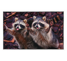 Коврик придверный (50x80 см) Velur