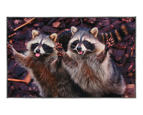 Коврик придверный (50x80 см) Velur