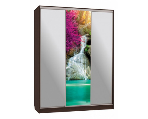 Шкаф-купе Бассо 9-600 49