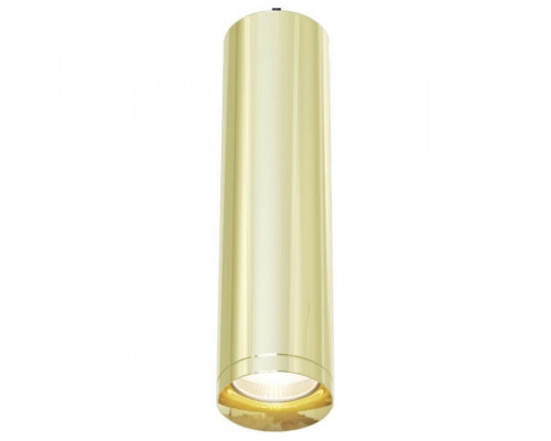 Подвесной светильник Maytoni Shelby P020PL-01G