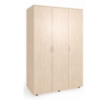 Шкаф платяной Оптима-3