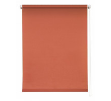 Штора рулонная (50x175 см) Плайн