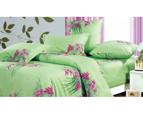 Постельное белье евростандарт A-118