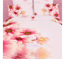 Постельное белье евростандарт Pastoral