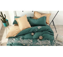 Постельное белье полутораспальное Транспорт