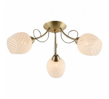 Потолочная люстра Escada Basic 8 1110/3