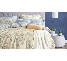 Постельное белье евростандарт RS-244