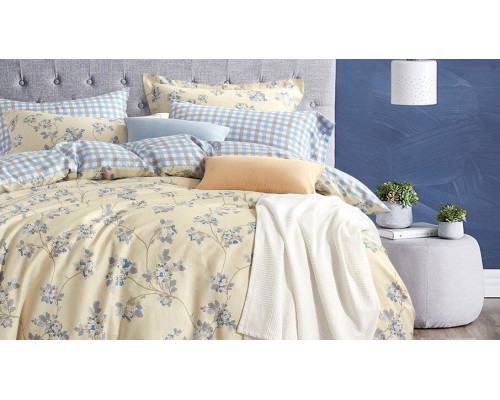 Постельное белье евростандарт RS-244