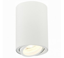 Спот ST-Luce Torus 