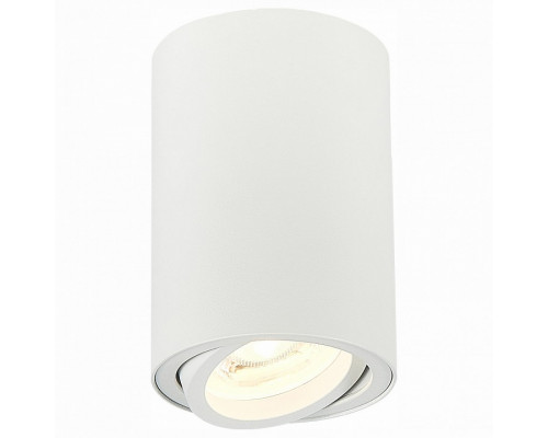 Спот ST-Luce Torus