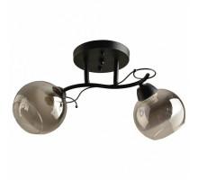 Накладной светильник Hiper Tori H204-2