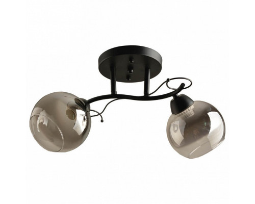 Накладной светильник Hiper Tori H204-2