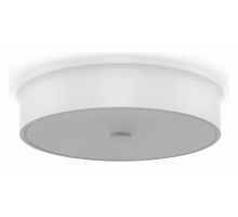 Накладной светильник Freya LED FR10011CL-L24W