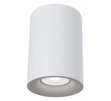 Накладной светильник Maytoni Alfa C012CL-01W