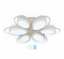 Накладной светильник Ambrella Granule 2 FG2511