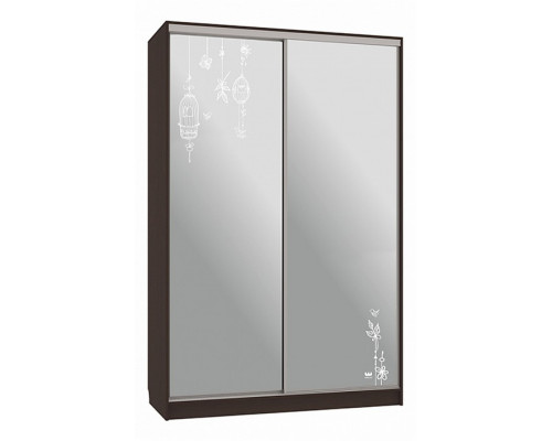 Шкаф-купе Рио 4-600 птицы