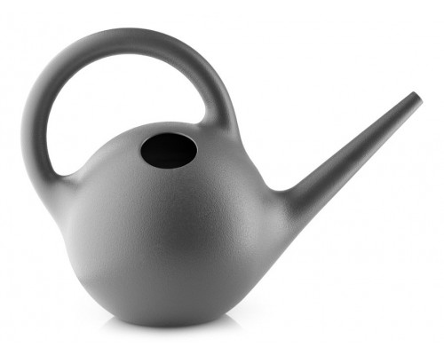 Лейка (2.5 л) Globe 568318