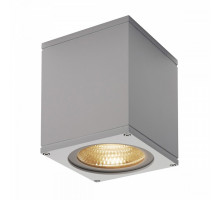 Накладной светильник SLV Big Theo 234524