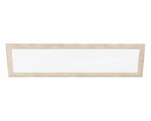 Накладной светильник Eglo ПРОМО Piglionasso 99437