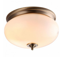 Накладной светильник Arte Lamp Armstrong A3560PL-2AB