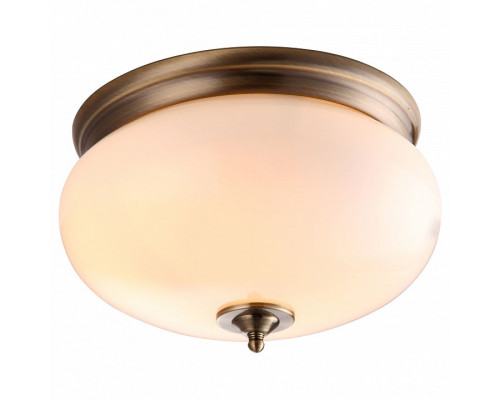 Накладной светильник Arte Lamp Armstrong A3560PL-2AB