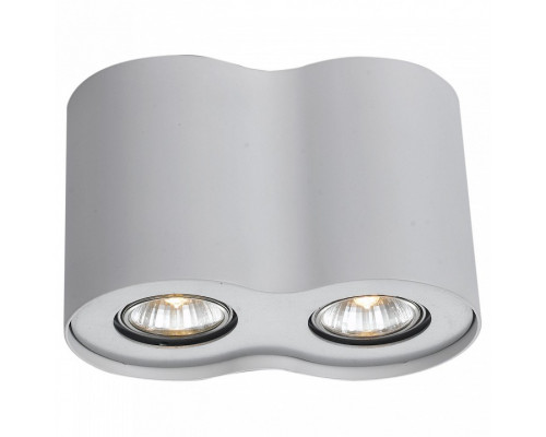 Накладной светильник Arte Lamp Falcon A5633PL-2WH