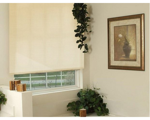 Штора рулонная (83х170 см) Эскар