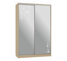 Шкаф-купе Рио 4-600 птицы