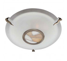 Накладной светильник Arte Lamp Pub A7895PL-2AB