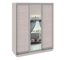 Шкаф-купе Румер СШК 1.180.60-11.13.11