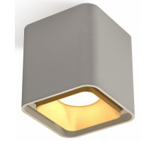 Накладной светильник Ambrella Xs7834 XS7842004