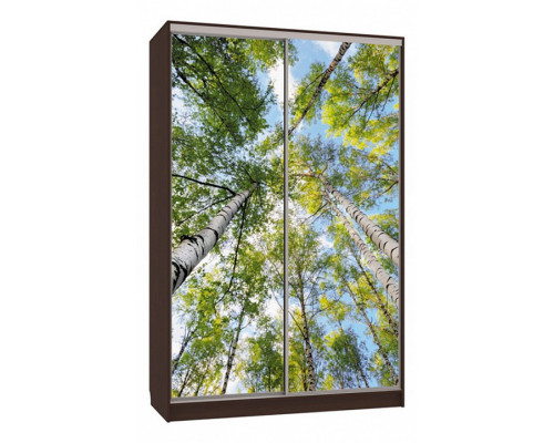 Шкаф-купе Гранд 7-600 57