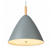 Подвесной светильник Globo Pura 15325G