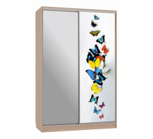 Шкаф-купе Рио 9-600 88