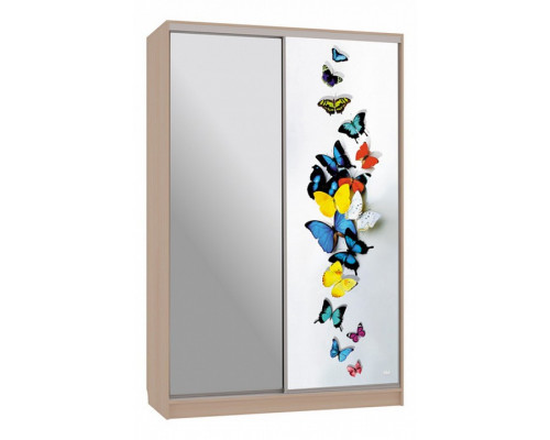 Шкаф-купе Рио 9-600 88