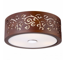 Накладной светильник Arte Lamp Arabesco A1500PL-3BR