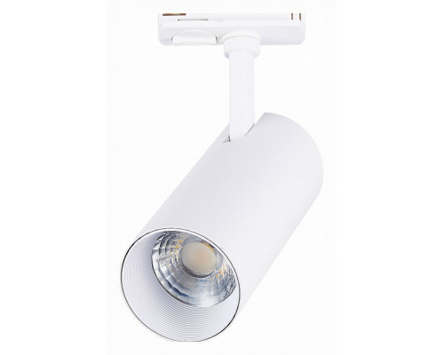 Светильник на штанге ST-Luce Mono